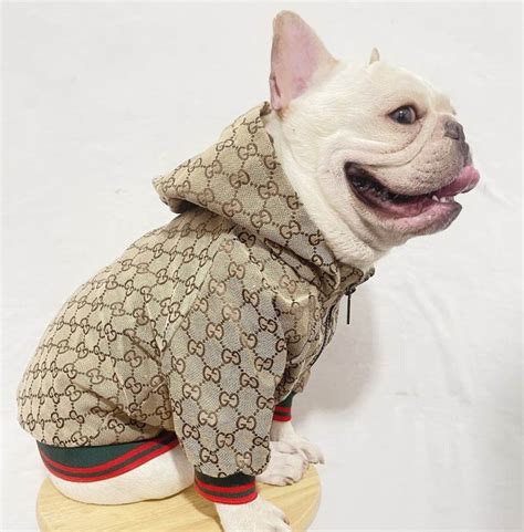 gucci dog sweater|designer dog coats gucci.